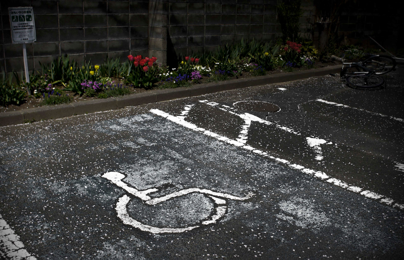Illustration for article titled The cars of the Fukushima Nuclear Exclusion Zone